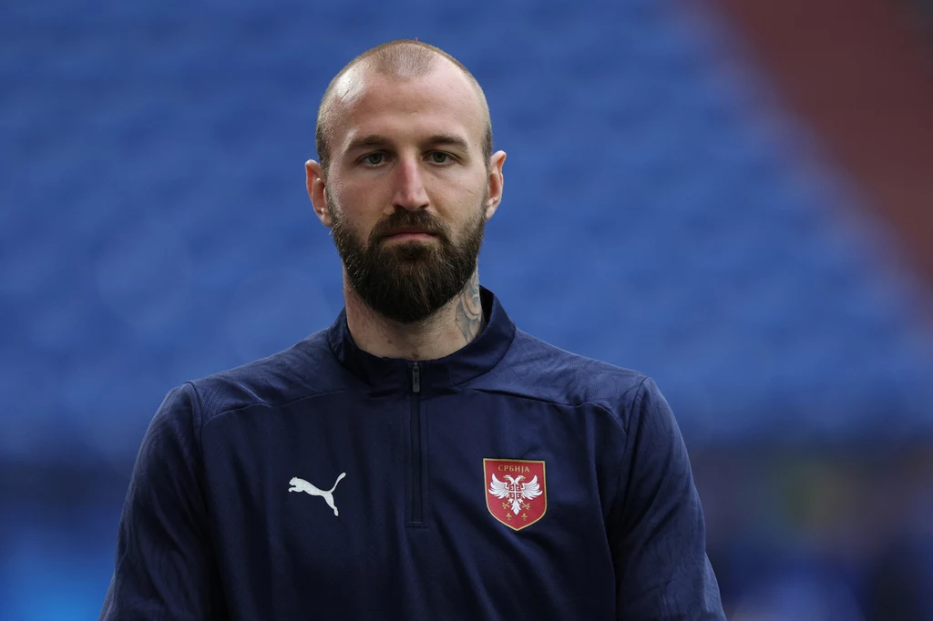 Vanja Milinković-Savić podczas Euro 2024