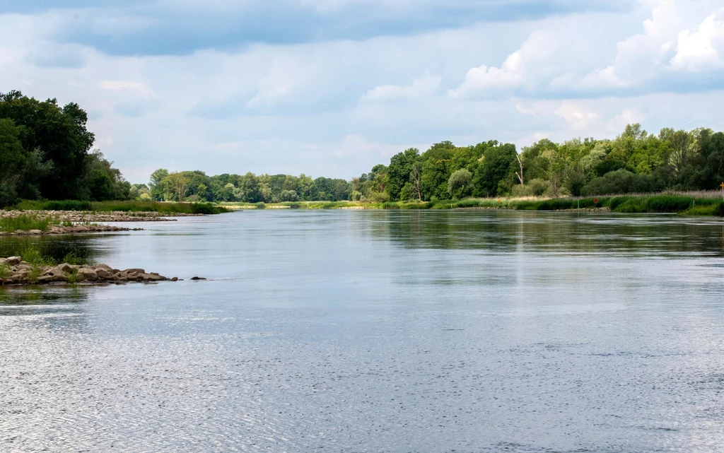 Wody w rzece jest coraz mniej, temperatura rośnie - ostrzegają ekolodzy i prawnicy