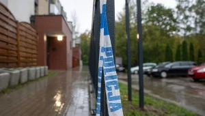 Prokuratura wszczęła śledztwo w sprawie śmierci siedmiolatki pogryzionej przez psy (zdjęcie ilustracyjne)