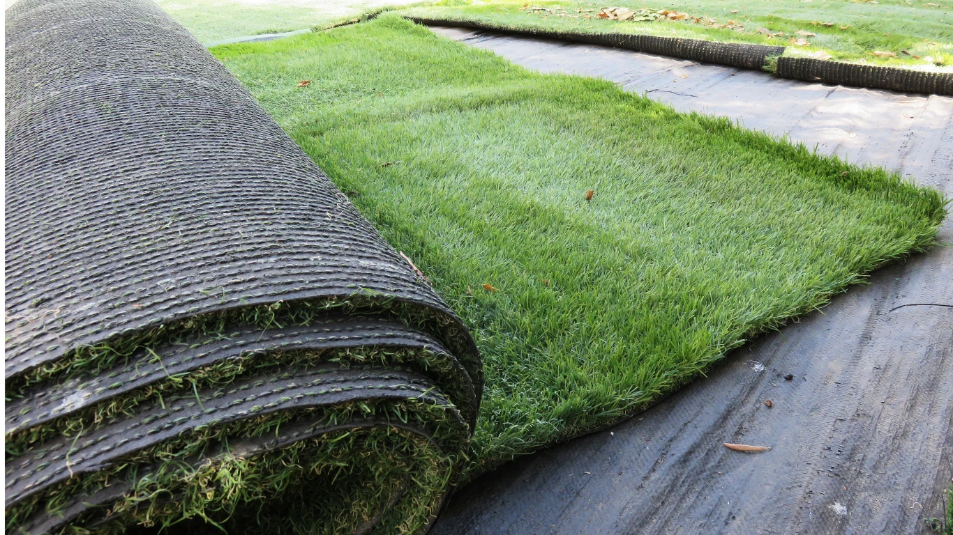 Sztuczna trawa w rolkach.