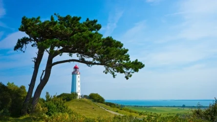Hiddensee to mała wysepka leżąca na zachód od Rugii. Jej znakami rozpoznawczymi są stara latarnia i... rokitnik