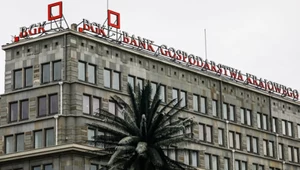 Premier dokonał zmiany w zarządzie BGK
