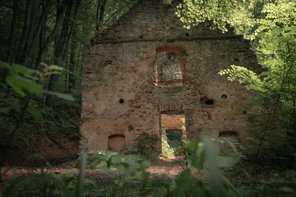 Jura Krakowsko-Częstochowska obfituje w zakątki z fascynującą historią. Wśród nich są ruiny sprzed wieków.