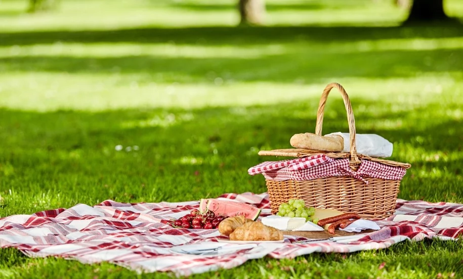 piknik fot. Adobe Stock