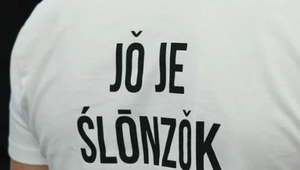 Śląski to jednak język? Google twierdzi, że tak