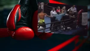 Do skandalu doszło na gali w Santo Domingo (Źródło: 123RF/PICSEL/twitter.com/shuanboxing)