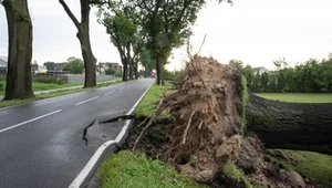 W weekend z powodu potężnych burz i wichur strażacy zanotowali łącznie 4432 interwencji w całej Polsce. Tylko w niedzielę zgłoszeń było ponad 2,1 tys.