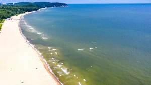 Ile razy w tym roku sinice zepsują pobyt nad Bałtykiem? Wyjaśniamy, dlaczego lepiej przestrzegać zakazów kąpieli