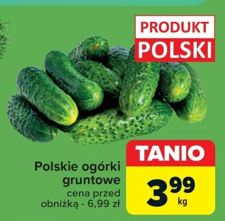 Огірки Polski