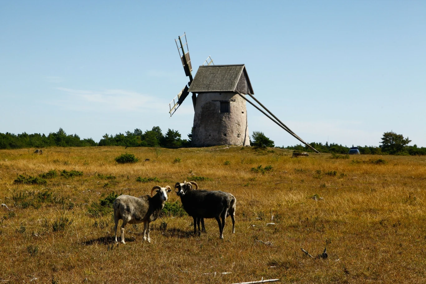W niektórych magicznych miejscach Gotlandii można się przenieść w czasie...