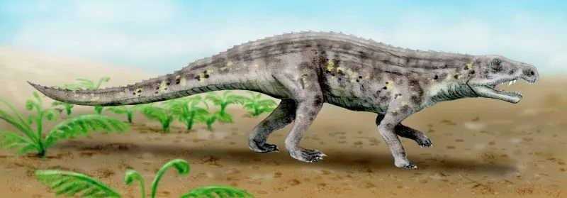 Wiele fałszywych krokodyli potrafiło biegać. Tu Venaticosuchus z Argentyny
