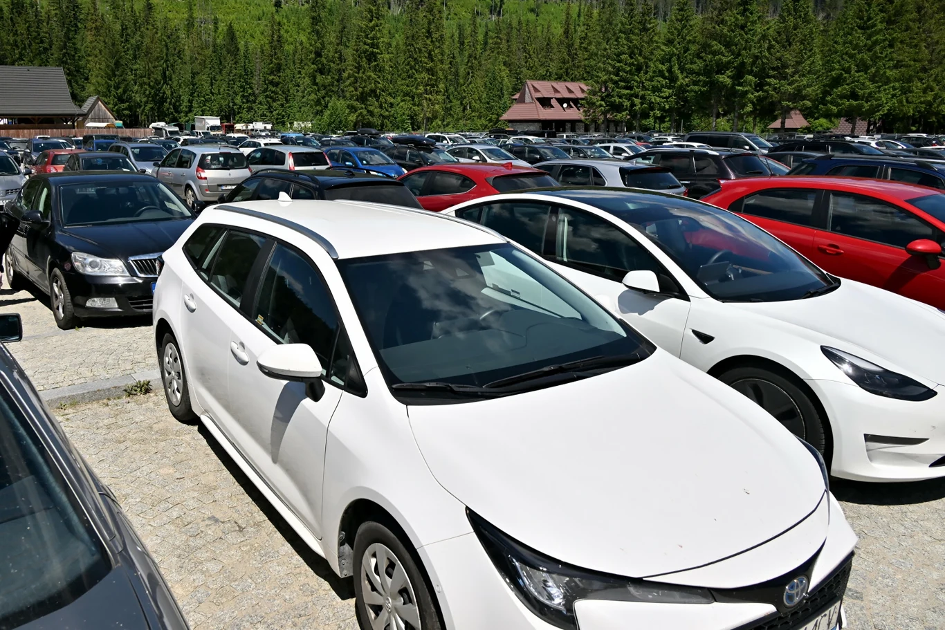 Sceny grozy na parkingu pod Morskim Okiem. Pobito parkingowego Sceny grozy na parkingu pod Morskim Okiem. Pobito parkingowego