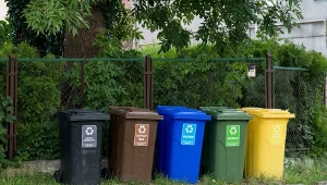 Gdzie wyrzucasz ziemię z doniczek? Nie, ten kontener nie jest właściwy 