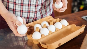 Polacy chcą produkować jaja bez salmonelli. W tle wielkie odszkodowania