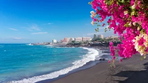 Playa Jardin to jedna z najpiękniejszych plaż na świecie. Wyróżnia się czarnym piaskiem pochodzenia wulkanicznego. 