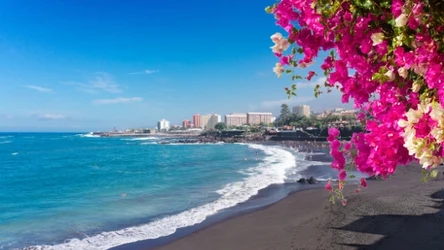 Playa Jardin to jedna z najpiękniejszych plaż na świecie. Wyróżnia się czarnym piaskiem pochodzenia wulkanicznego. 