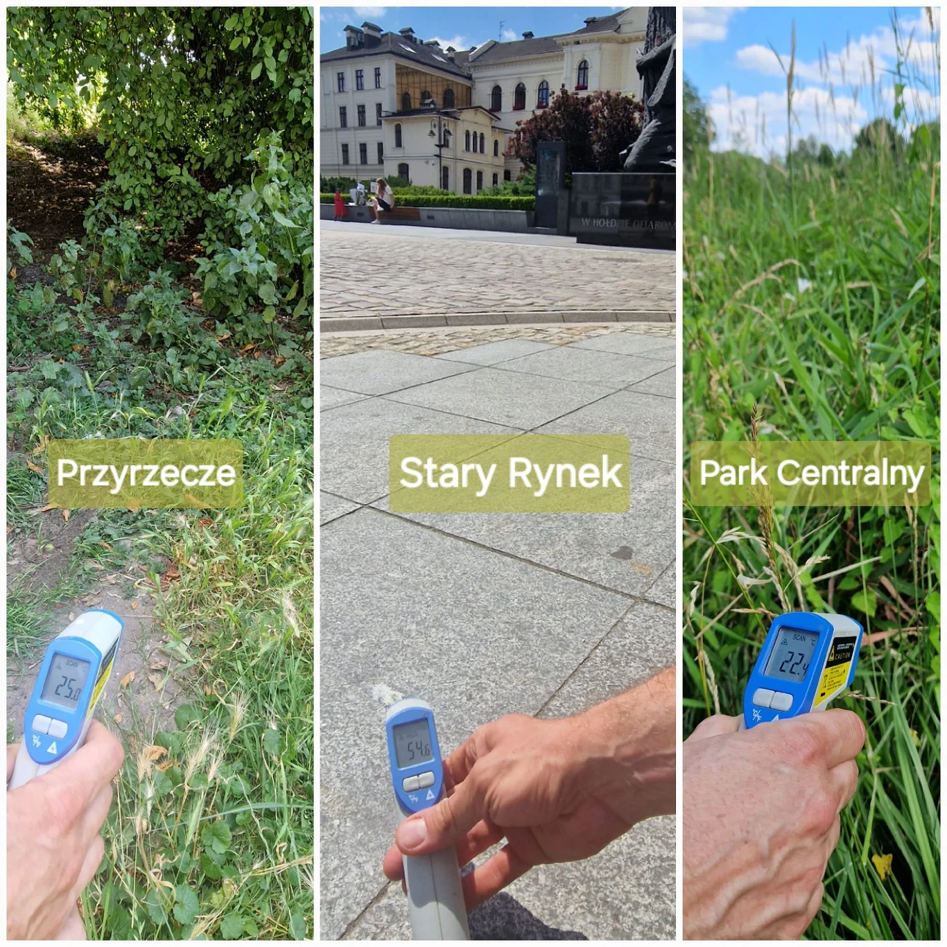 Test wskazał jasno, gdzie jest najchłodniej podczas upałów
