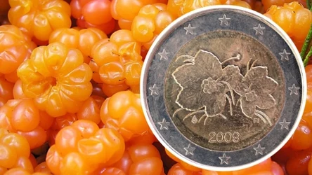 Wizerunek maliny moroszki uwieczniono na fińskiej monecie o wartości 2 euro | Fot. Canva Pro
