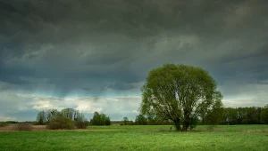 Burze krążą po Polsce. Pogoda mało przyjazna