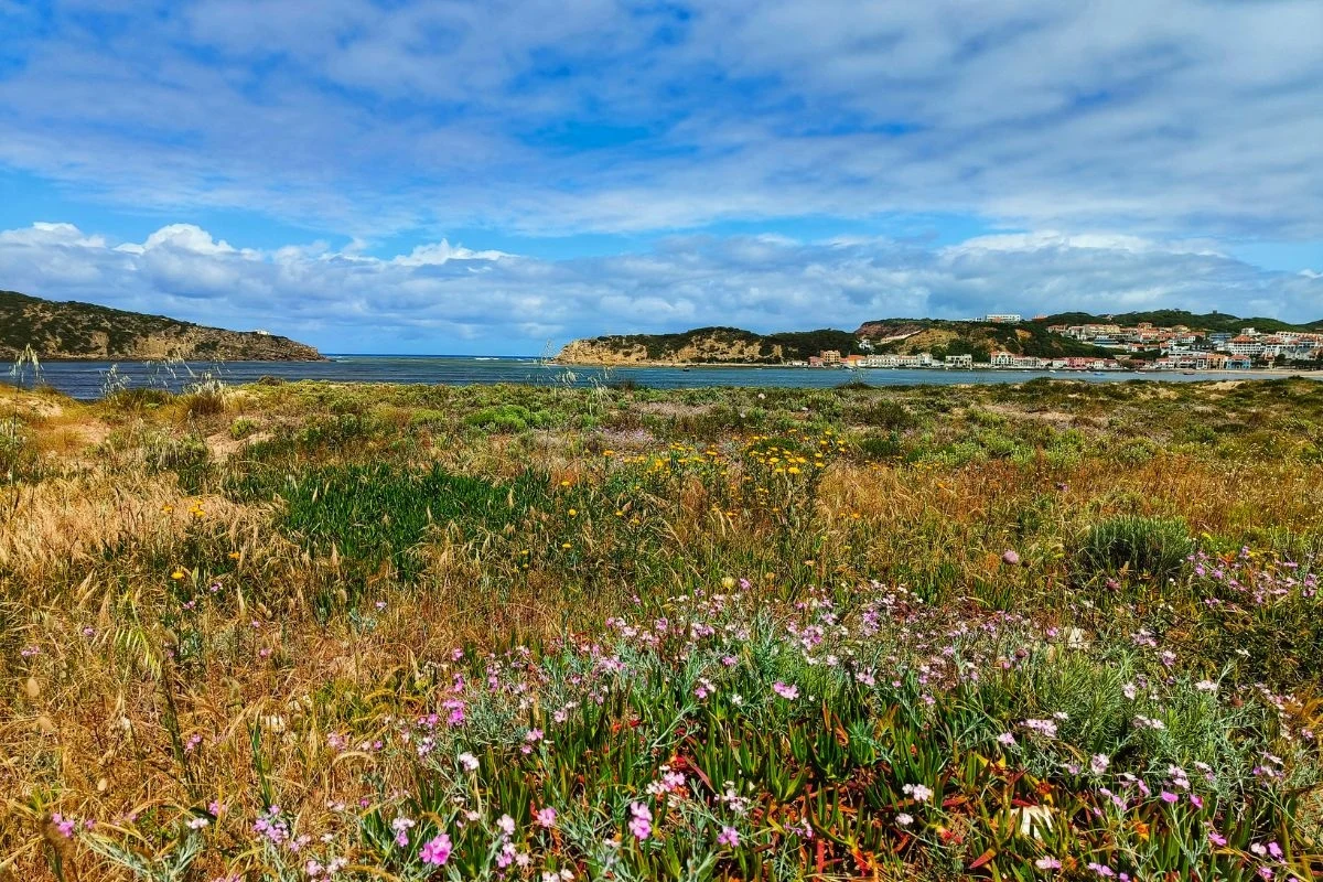 Zatoka to nie tylko plaża, ale też urokliwa roślinność