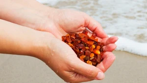 Niepozorny bursztyn skrywa wiele tajemnic. Jakie ma właściwości?