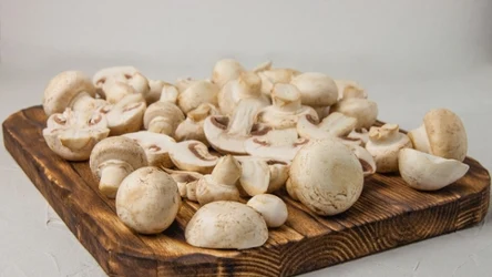 Z pieczarki wyizolowano glukozaminę wspierającą osteogenezę