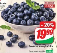 Borówka amerykańska Polski