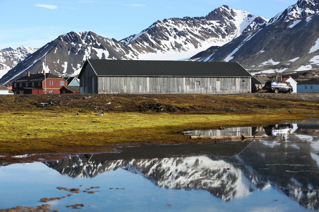 Svalbard dotąd bronił się przed gatunkami inwazyjnymi