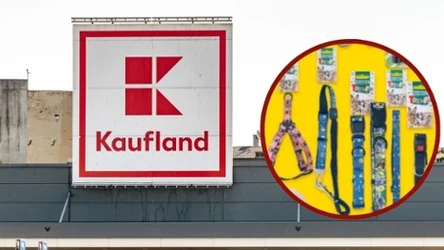 Akcesoria dla psów i kotów za darmo w Kauflandzie!