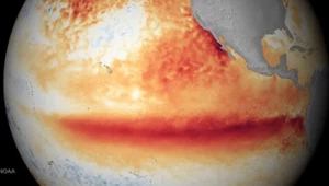 Nowe badania nad El Niño. Ma istotny wpływ na jedną z pór roku
