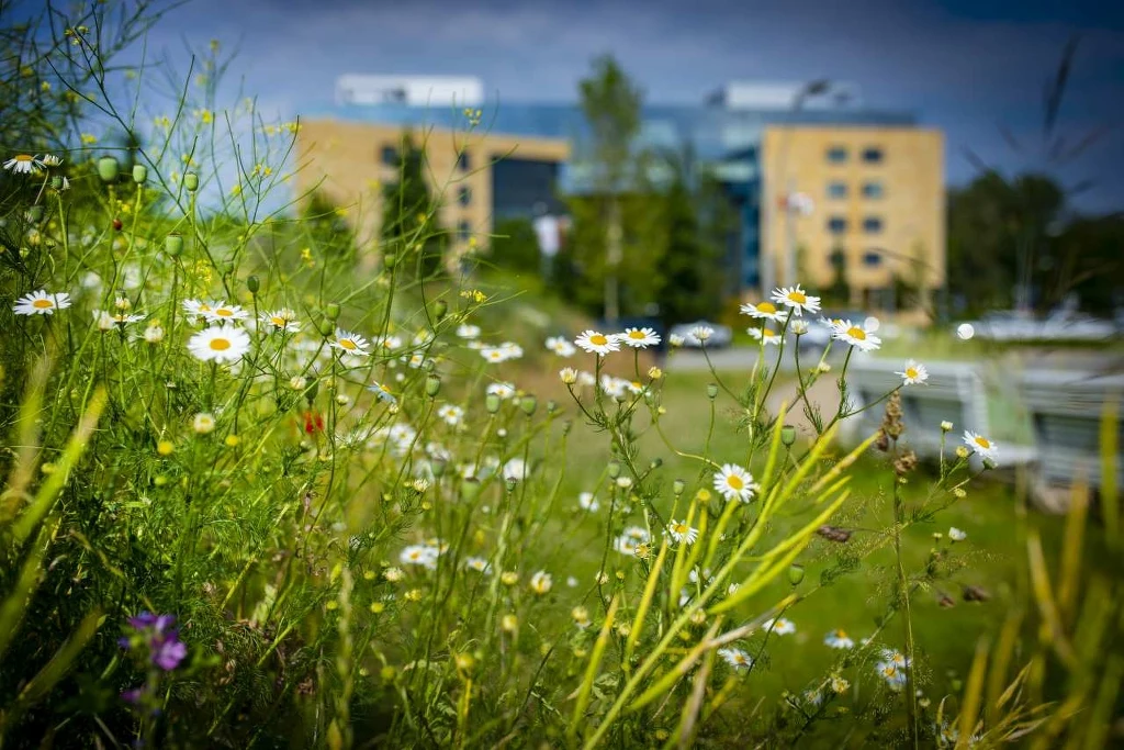 ERGO Hestia ERGO Hestia