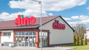 Sieć Dino ostrzega przed nieprawdziwymi ofertami pracy. Apeluje o czujność 