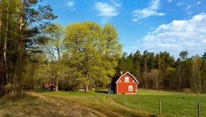 Tu kupisz działkę za grosze. Chętni ustawiają się w kolejce