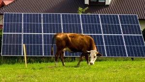 Fotowoltaika będzie mieć konkurencję? Naukowcy z Politechniki Warszawskiej opracowują urządzenie do produkcji energii m.in. z bimbru