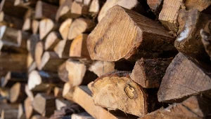 Ile kosztuje drewno za kubik w wakacje 2024?