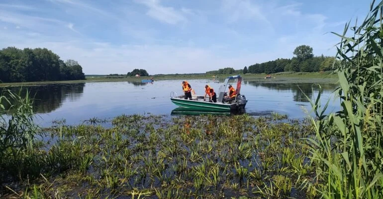 Śnięte ryby na Podkarpaciu. Wezwano wojsko Śnięte ryby na Podkarpaciu. Wezwano wojsko