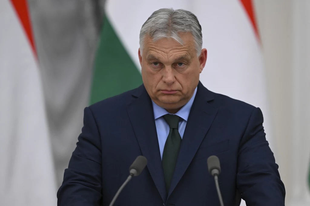 Viktor Orban stworzy frakcję w Parlamencie Europejskim Viktor Orban stworzy frakcję w Parlamencie Europejskim
