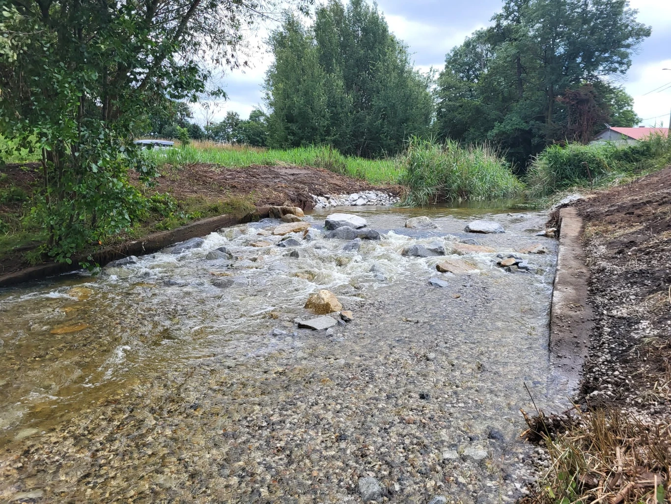 Zamiast betonowego progu, który blokował przepływ ryb, do rzeki wsypano tony żwiru i kamieni i zbudowano rampę Zamiast betonowego progu, który blokował przepływ ryb, do rzeki wsypano tony żwiru i kamieni i zbudowano rampę