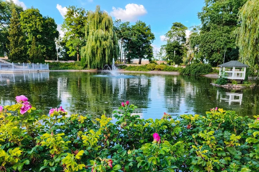 Park jak zielona oaza