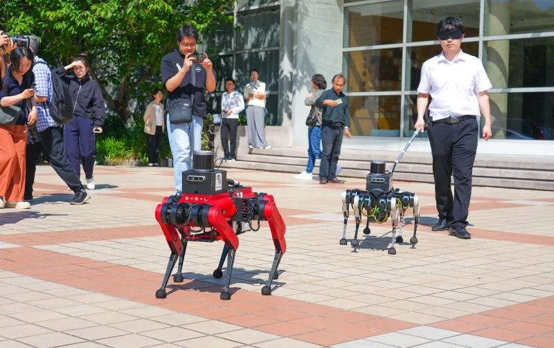 Co potrafi chiński robo-pies przewodnik? Naprawdę dużo!