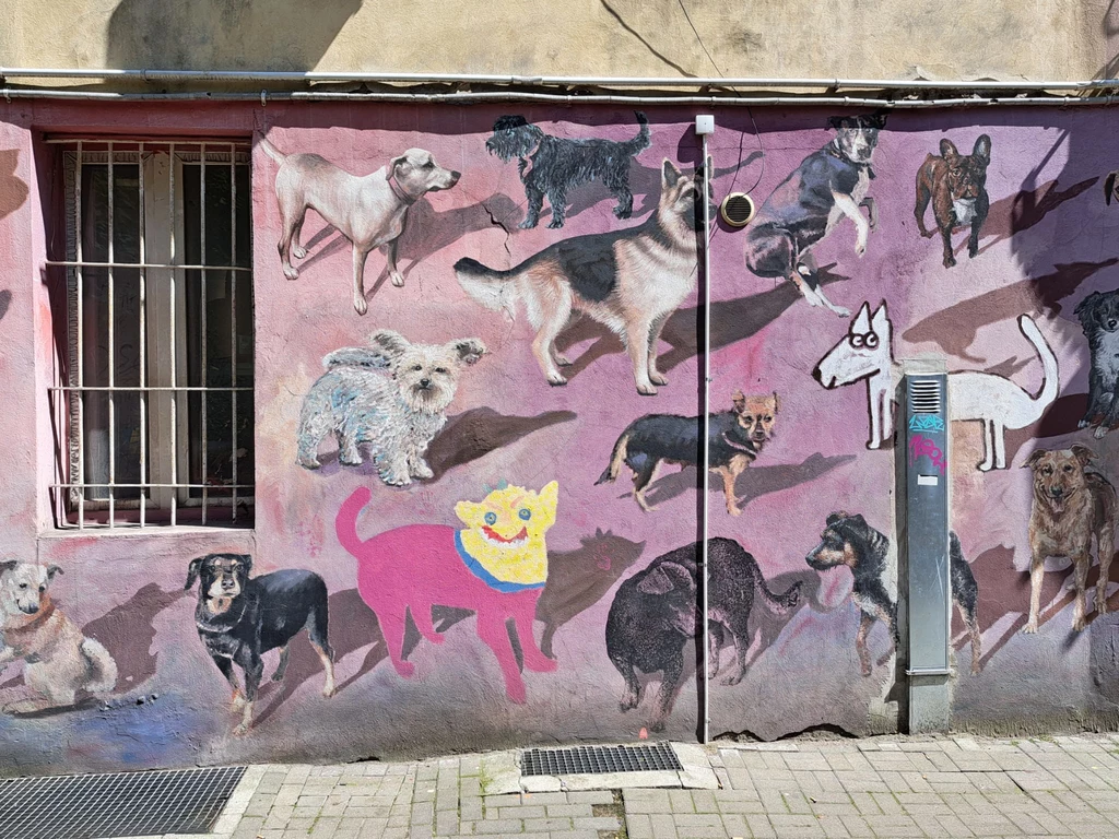 Malunek, na którym znajduje się biszkoptowy labrador. Czy uda się go odnaleźć?