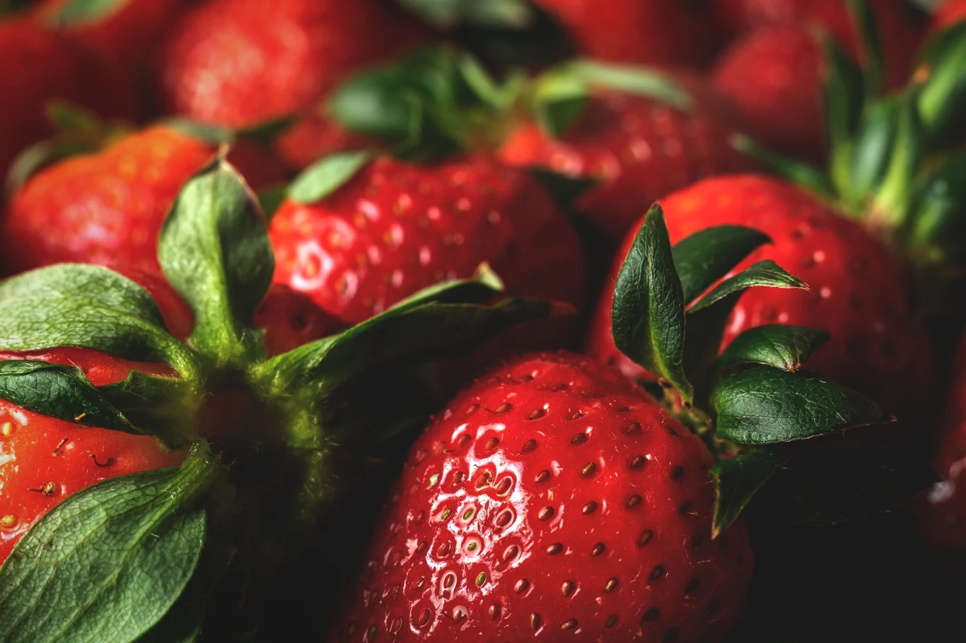 Truskawki nie występują naturalnie w przyrodzie. To sztuczny twór