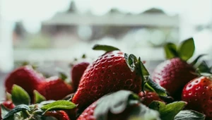 Zaskakujący pomysł Polaków. Przez cały rok będą świeże polskie truskawki