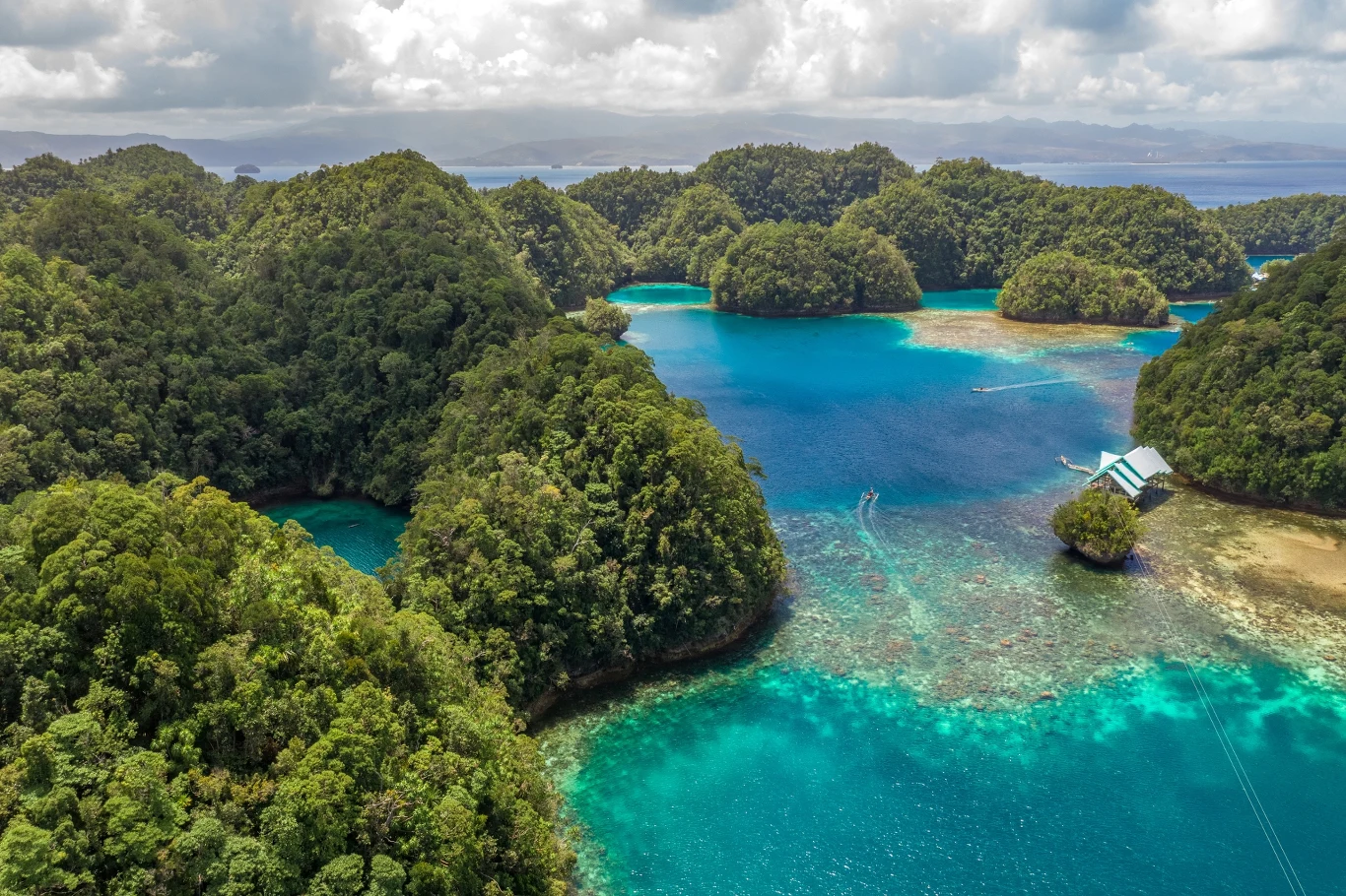 Raja Ampat to wciąż mało znany archipelag, który wygląda jak raj. Coś dla siebie znajdą tam zwłaszcza fani nurkowania i snorkelingu. 