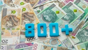 RPO zwraca uwagę na problemy ze świadczeniem 800 plus. Pieniądze nie trafiają do pewnej grupy dzieci