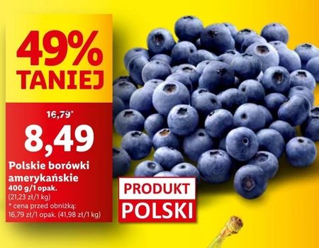 Borówki amerykańskie Polski