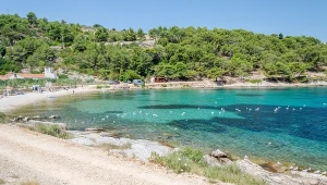 Ciemne miejsca pod wodą pełne są jeżowców. Na zdjęciu plaża w pobliżu Postira na północnym wybrzeżu wyspy Brac w Chorwacji