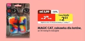 Zabawka dla kota Magic cat niska cena