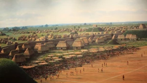 Mieli moc! 900 lat temu "przenieśli" 5-tonowe drzewo ponad 180 km