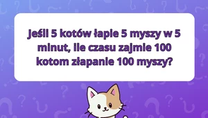 Test na logiczne myślenie: Czy zdołasz poprawnie rozwiązać ćwiczenie?